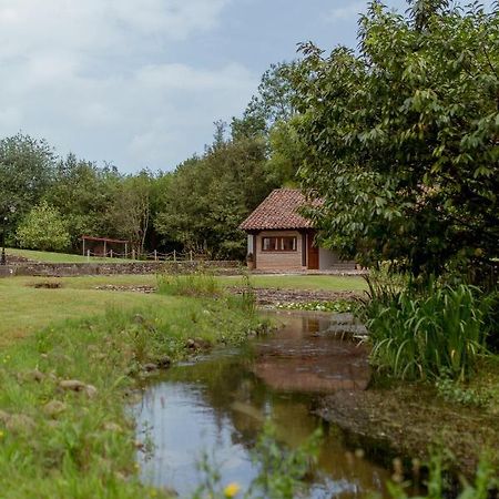 El Molino De Bonaco Casa de hóspedes San Vicente De La Barquera Exterior foto